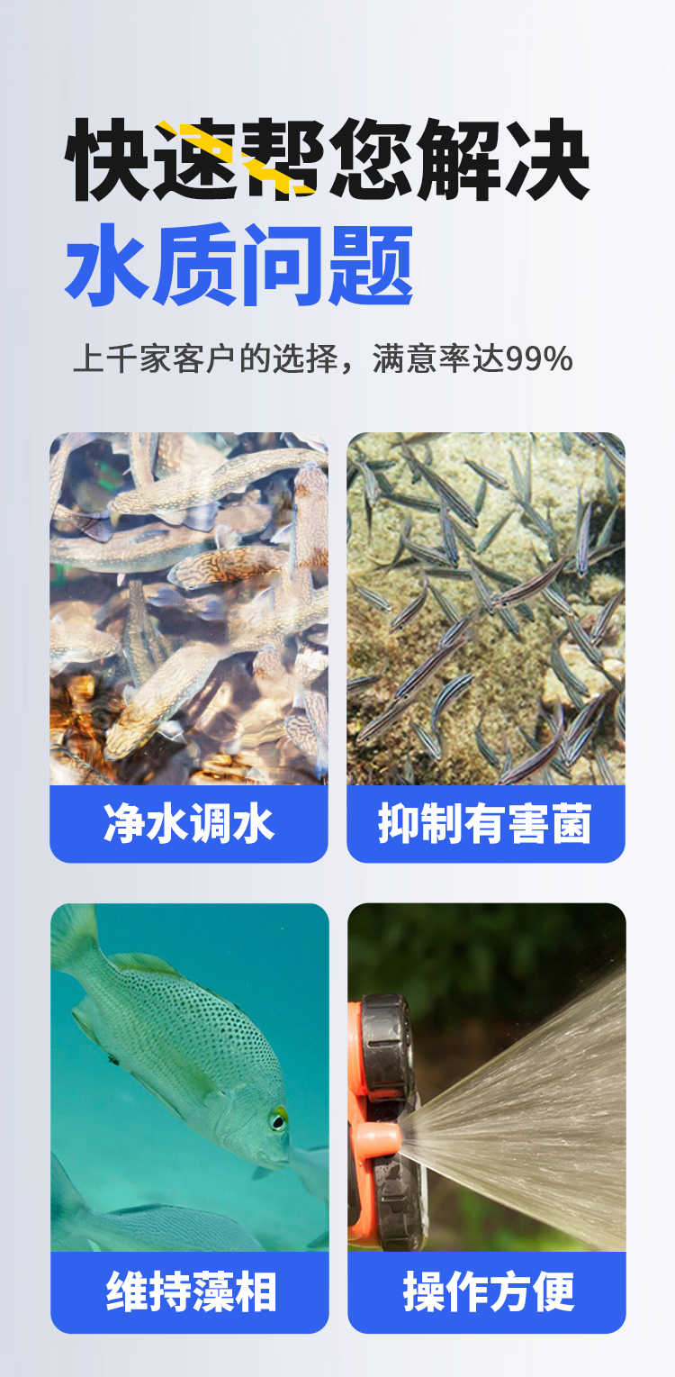 画板-1_06.jpg