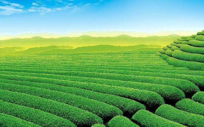 日常生活垃圾除臭剂应该怎么选择？安全有效是关键