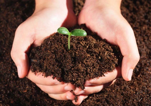 艾瑞尼微生物除臭剂的好处了解一下