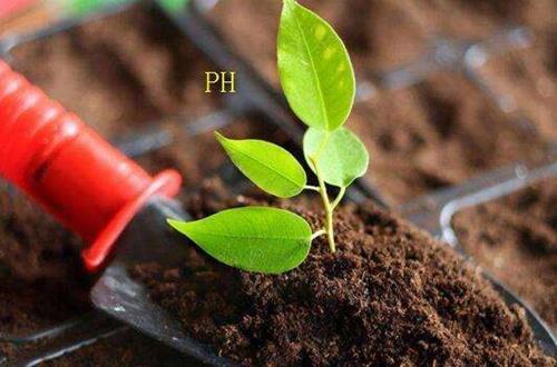 寒冬中的生命之火：微生物发酵剂在冬季农业中的独特价值