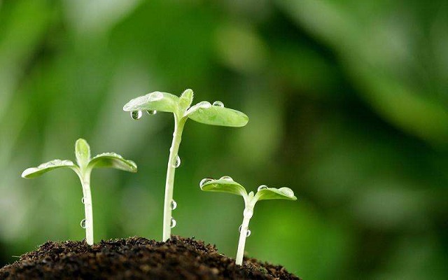 为什么选择微生物发酵剂